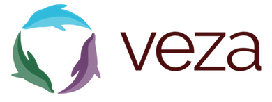 Transparent_Vertical_Veza_Logo-copy